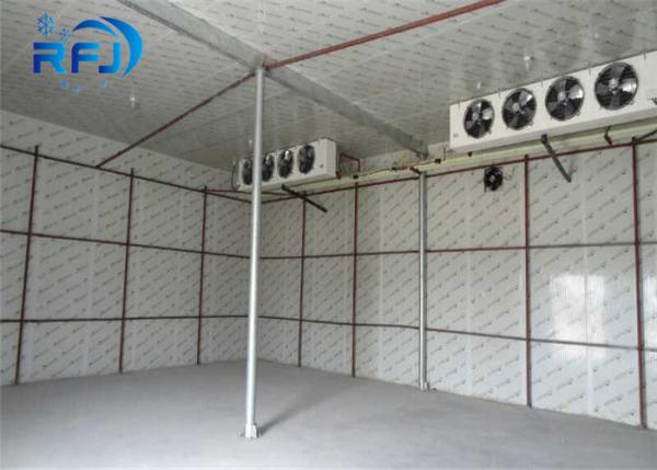 Walking Deep Freezer Commercial Cold Room 380V/3P/50Hz Cooler For Sea Food