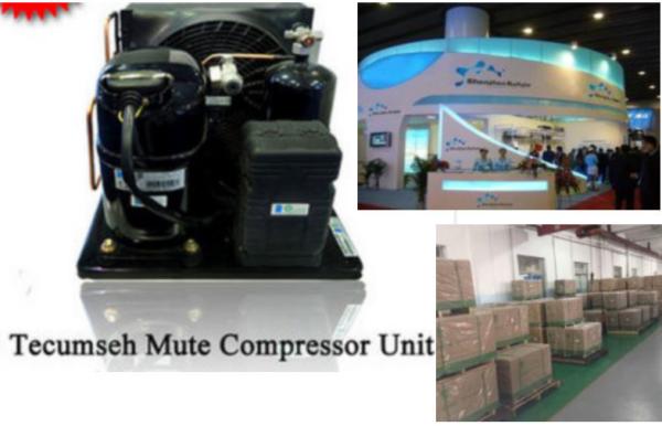 Low noise 2HP Air cooled Tecumseh condensing unit FH4525Y ,  temperature between -30 degree to 5 degree