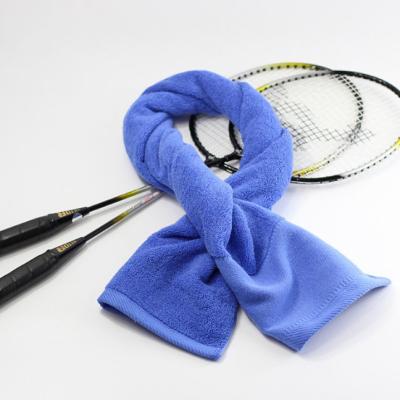 China Antibacterial Microfiber Sports Towel Customized Gym-Ready Sweat Towels for sale