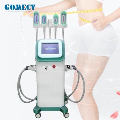 China Fat Freezing Cryolipolysis Slimming Machine 1000W Cellulite Reduction Equipment for sale