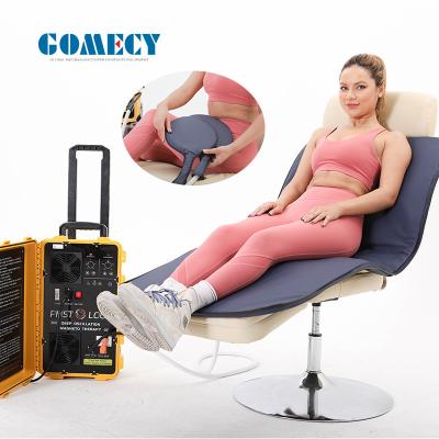 China Physical Therapy Machines PMST LOOP PEMF For Human Body Pain Relief Magneto Therapy Device for sale