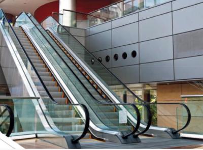 Chine 9000 personnes/heure de promenade mobile d'escaliers horizontaux d'escalator pour l'étape de la maison 0.8m à vendre