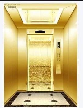 China 1050KG 14 Persons MRL Passenger Lift Cabin VVVF AC Control for sale