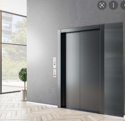 China 6 Persons Residential Elevators 630KG Stainless Steel Elevator Cabin for sale