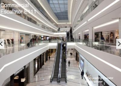 China Shopping Mall Moving Walk Escalator 35 Degree Tempered Glass Fuji for sale