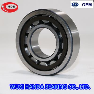 China Full Complement Cylindrical Roller Bearing NNF 5004 ADB-2LSV SL04 5004 PP NR for sale