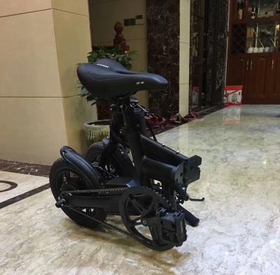 China Factory Directly Supplier Goods Scooter with Electric Bike for sale
