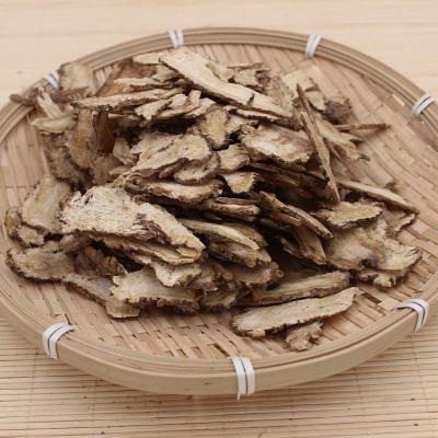 China 1014 Dang gui GMP Certified Factory Supply Natural Radix Angelicae Sinensis for sale