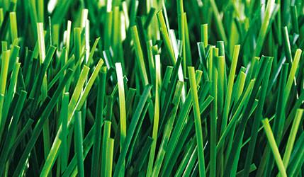 Verified China supplier - Mighty Grass Co.,Ltd.