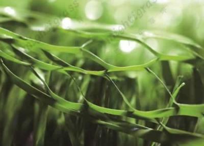 China Synthetic Grass for Tennis, MT-Fibrillated Grass for sale
