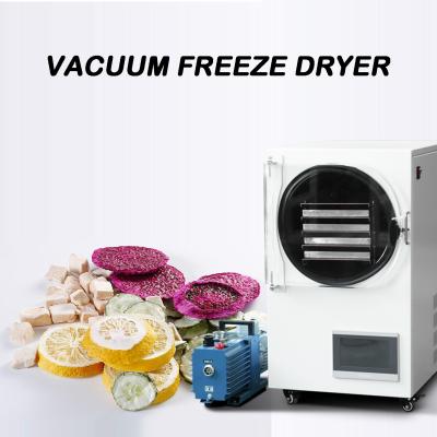 China Food Freeze Dryer Machine Vacuum Equipment 60Hz Dry Fruit Lyophilizer for sale