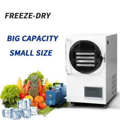 China Freezed Dryer Vacuum Machines Industrial Coffee Mushroom Food Lyofilizing for sale