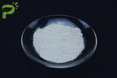 Китай Brain Health Cytidine Diphosphate-Choline (CDP-Choline) Citicoline CAS: 987-78-0 продается