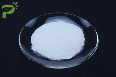 China Pharmaceutical Usage EP Standard Sodium Hyaluronate Products Injection Grade CAS 9067 32 7 for sale