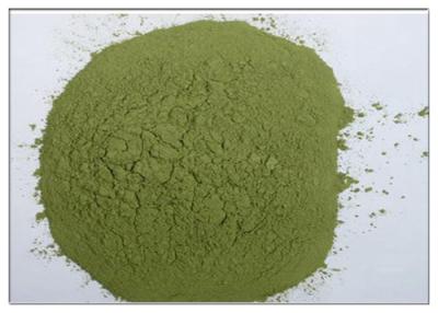 China Polvo verde CAS de los suplementos inflamatorios antis naturales del extracto de la corteza del Bayberry 529 44 2  en venta