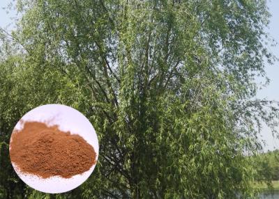 China Salicin 98% White Willow Bark Extract , White Willow Bark Powder CAS 138 52 3 for sale