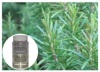 China Colorless Rosemary Oil Extract , Fresh Smell Rosemary Essential Oil For Bath Product for sale