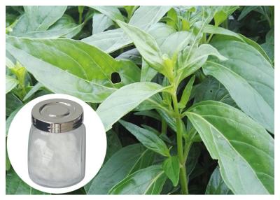 China Herb Andrographis Paniculata Extract , 98% Andrographis Paniculata Powder for sale