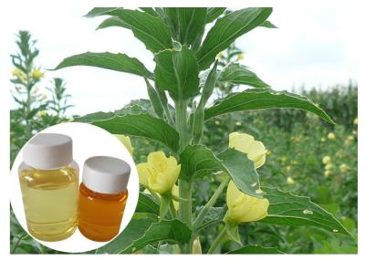 Cina Olio giallo naturale dell'enagra degli integratori alimentari GLA 10% della menopausa delle donne in vendita