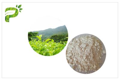 China Anti Oxidation EGCG Green Tea Extract , Pharmaceutical Grade Natural Green Tea Extract for sale