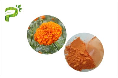 China Eye Care Natural Flower Extracts Anti Oxidation Orange Red Powder Lutein From Marigold Flower for sale