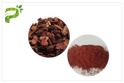 China Anti Aging / Oxidation Plant Extract Powder Proanthocyanidins PACs Pine Bark Powder Dietary Supplement for sale