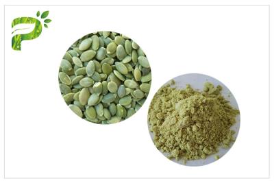 China Plant Source Natural Dietary Supplements Vegan Protein 50% 60% Pumpkin Seed Protein Powder for sale