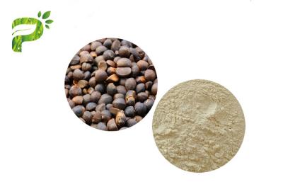 China Natural Cosmetic Ingredient Camellia Oleifera Abel Seed Extract Tea Saponins For Emulsifier for sale