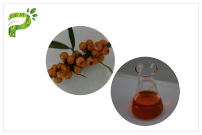 China Seabuckthorn Fruit Seed Oil Bulk Anti - Oxidation Essential Oil Dietary Supplement for sale