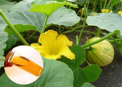 China Pumpkin Seed Oil Prevent Prostate Natural Dietary Supplements Food Grade for sale