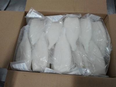 China Frozen Squid Tube U5, U7, U10, Gigas/ Illex/ Todarodes for sale