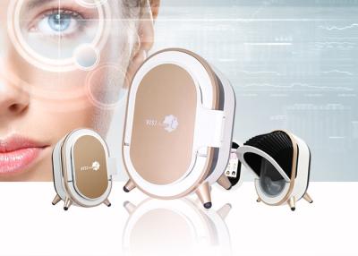 China 8KG Face Camera Magic Mirror Skin Analysis Machine Facial Skin Analyzer for sale