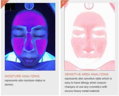 China Skincare Wrinkle Pigmentation Acne Skin Analyser Machine 3D Smart Quizzes for sale