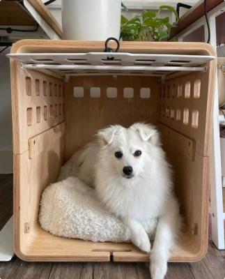China Modern Push Up Solid Wood Dog Crate End Table With Acrylic Door for sale
