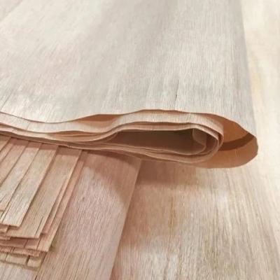 China La madera de haya contemporánea chapea las hojas para la absorción sana de los muebles en venta
