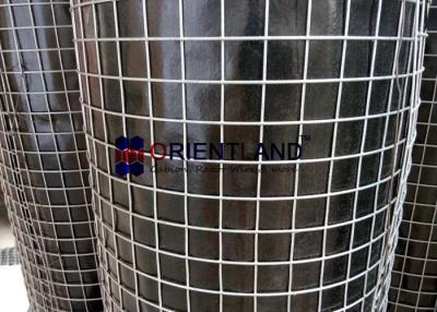 China Durable Welded Steel Wire Mesh , 1