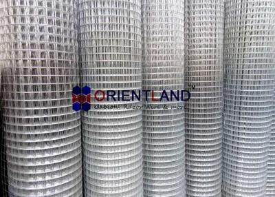 Cina Superficie piana saldata dello schermo della rete metallica dell'acciaio inossidabile per il giardino Fencings in vendita