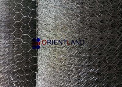 China High Intensity Heavy Gauge Chicken Wire Netting Animals Plants Fencing ISO Approval for sale