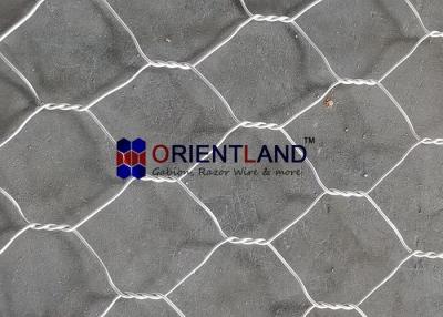 China Double Twisted Hexagonal Shape Gabion Wall Baskets 100×120mm for sale