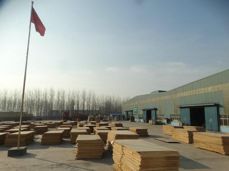 Verified China supplier - Shanghai Eagleflying Industrial Co., Ltd.