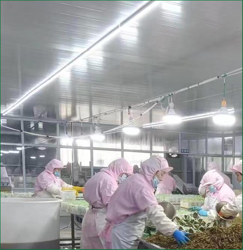 Verified China supplier - BLACKSTONE TRADE PTE.LTD