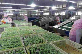 Verified China supplier - BLACKSTONE TRADE PTE.LTD