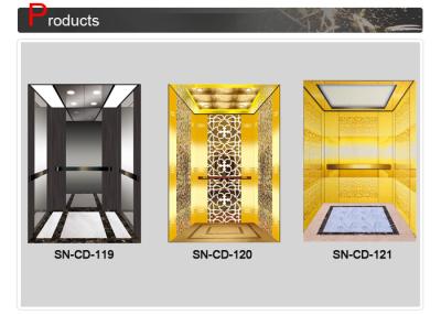 China Stainless Steel Frame Cabin With Acrylic Lighting Panel For Passenger Elevator Lift for sale