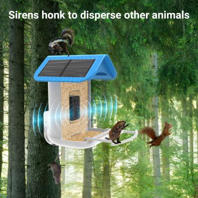 China Smart Bird Feeder Squirrel Proof Camera with Solar Panel AI Identify Bird Species for sale
