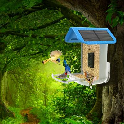 China Smart Bird Feeder with Camera Wifi App Install AI Recognize Bird Species for sale