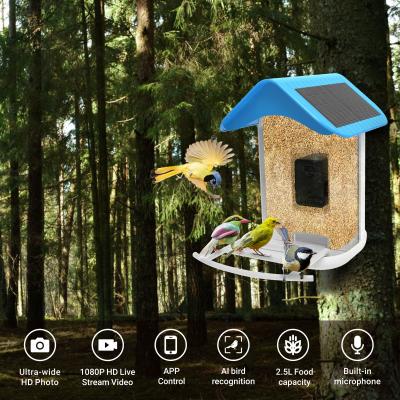 China Alimentador de pássaros inteligente com câmera solar Captura automática de vídeos de pássaros e detecção de movimento de pássaros AI identifica espécies à venda