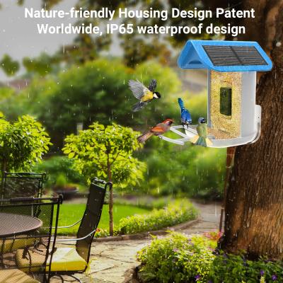 China Intelligent AI recognition bird feeder Smart Garden AI Detection Bird Feeder Solar Panel Camera for sale