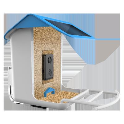 China Waterproof Outdoor Smart Bird Feeder Camera Observe Activity With Solar Panel for sale