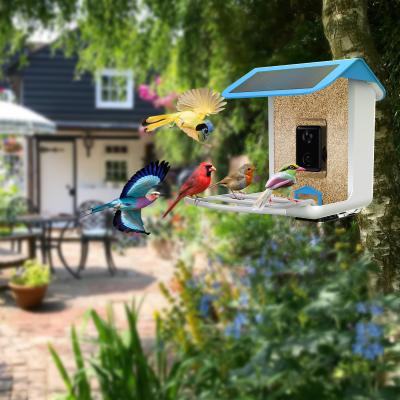 China Solar Panel Waterproof Outdoor Smart Ai Bird Feeder With Camera App Control for sale