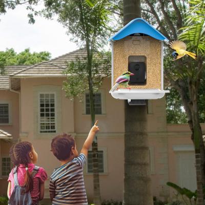 China Wild bird feeder AI recognition smart bird feeders with solar panel for sale